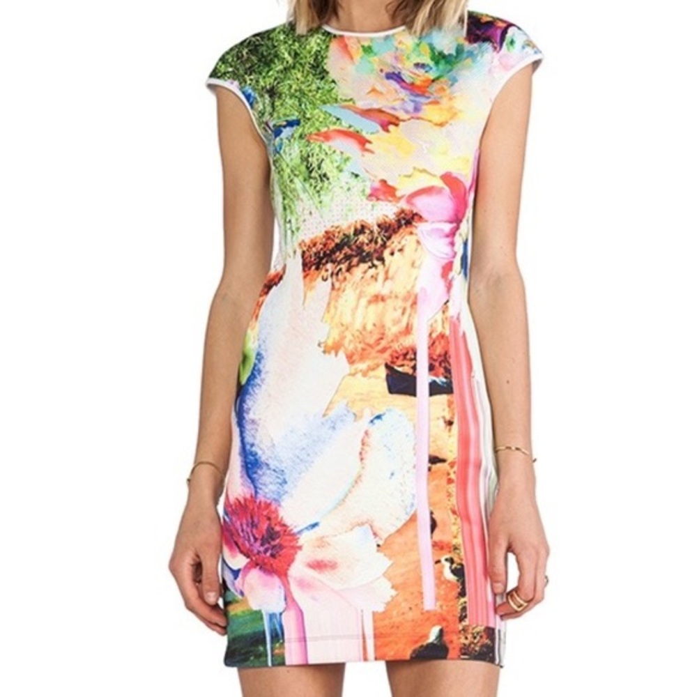 Clover Canyon Griffith Park dress